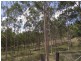 Oakey Creek Road, Cinnabar QLD 4600