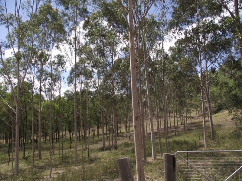 Oakey Creek Road, Cinnabar QLD 4600