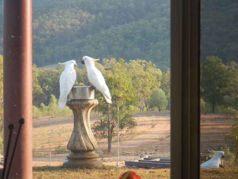 Widgee QLD 4570