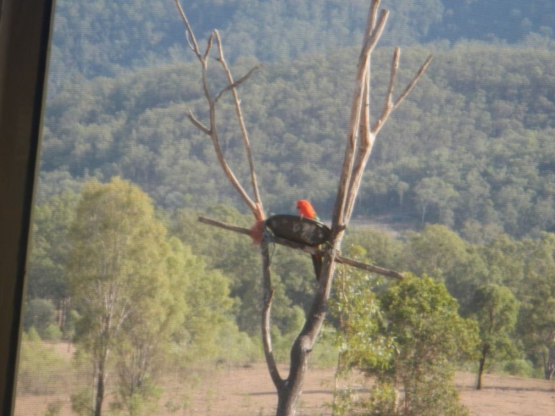 Widgee QLD 4570