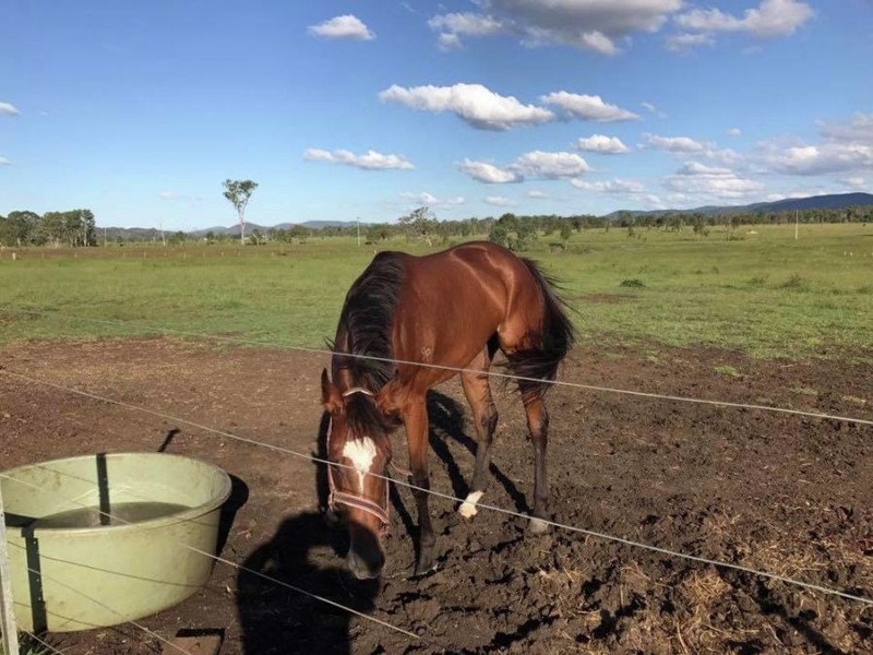 444 Running Creek Road, Kilkivan QLD 4600