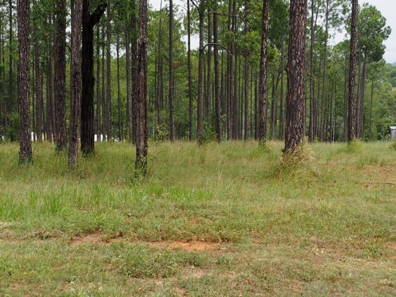 Lot 118 Arborfive Road, Glenwood QLD 4570