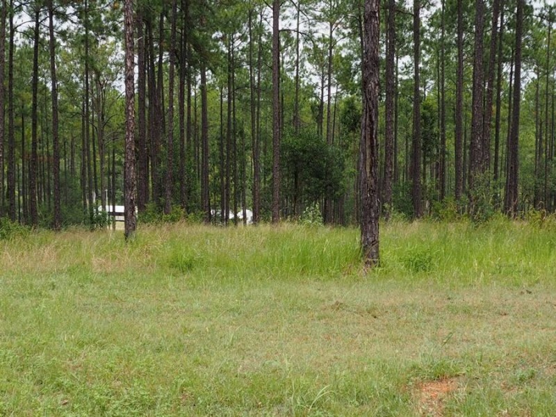 Lot 118 Arborfive Road, Glenwood QLD 4570