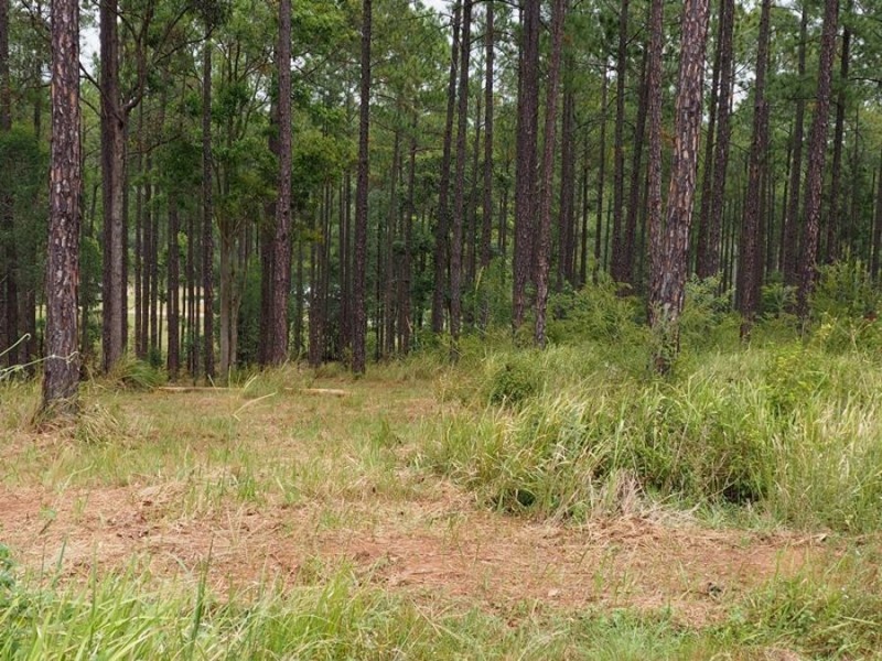 Lot 118 Arborfive Road, Glenwood QLD 4570