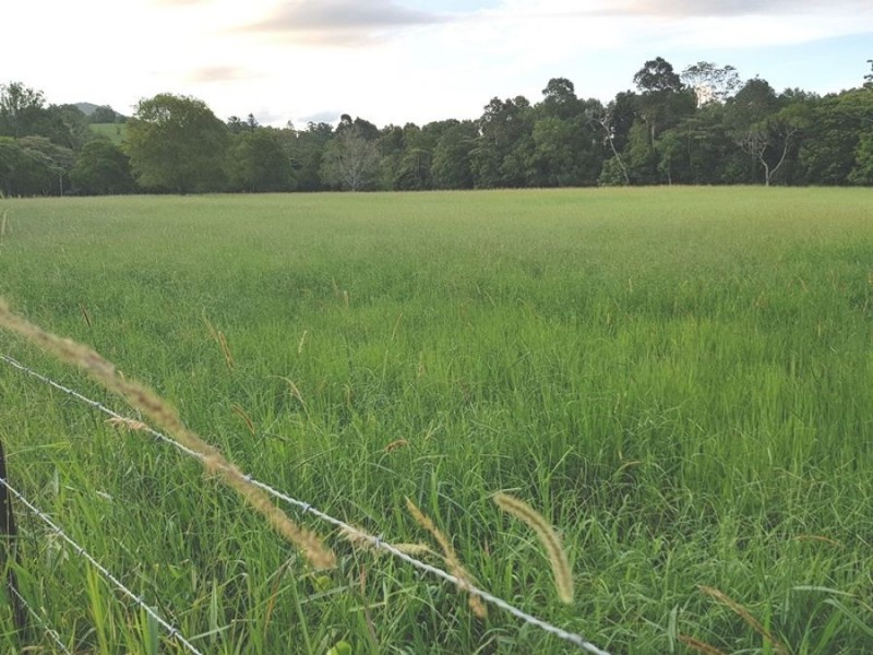 258 Sister Tree Creek Road, Kin Kin QLD 4571