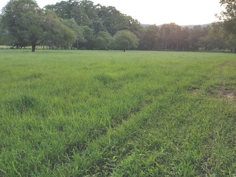 258 Sister Tree Creek Road, Kin Kin QLD 4571