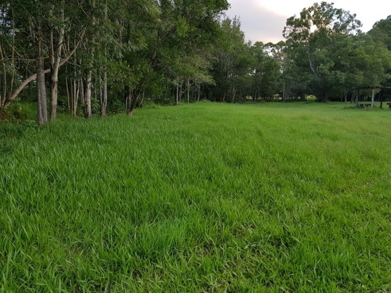 258 Sister Tree Creek Road, Kin Kin QLD 4571