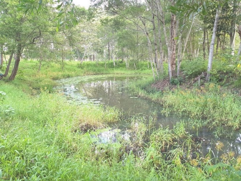 258 Sister Tree Creek Road, Kin Kin QLD 4571