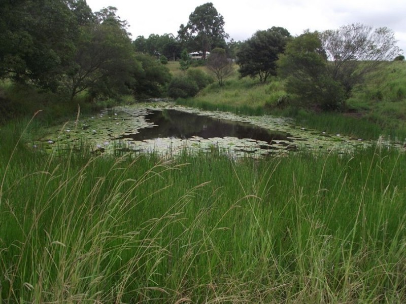 Lot 1 Sandy Creek Road, Veteran QLD 4570