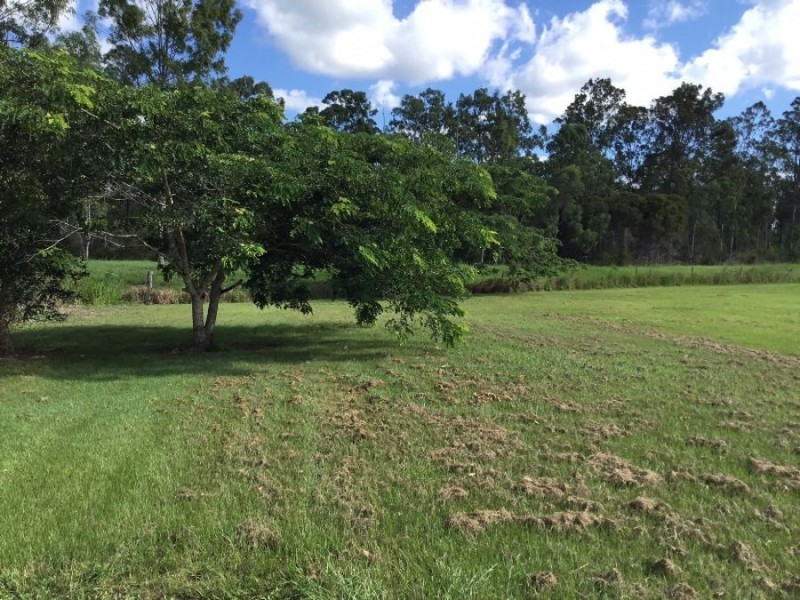 23 Cotter Drive, Gunalda QLD 4570