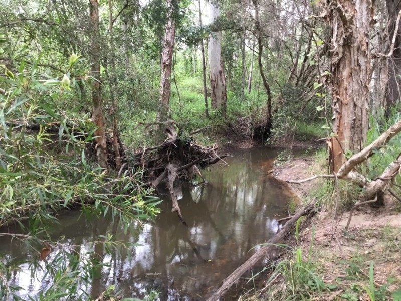 48 Settlement Road, Curra QLD 4570