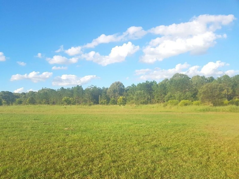 6 Krait Court, Cooloola Cove QLD 4580