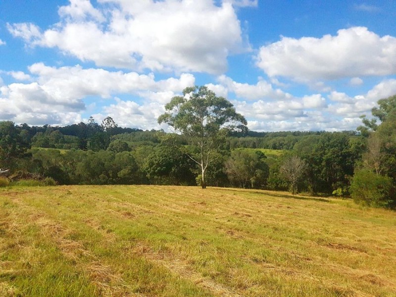 190 Fritz Road, Chatsworth QLD 4570