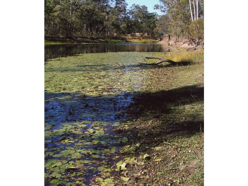 1524 Harvey Siding Road, Curra QLD 4570