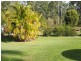 4 Arborseventeen Road, Glenwood QLD 4570