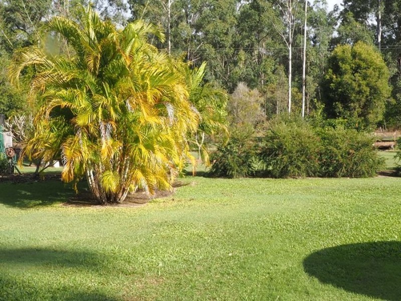 4 Arborseventeen Road, Glenwood QLD 4570