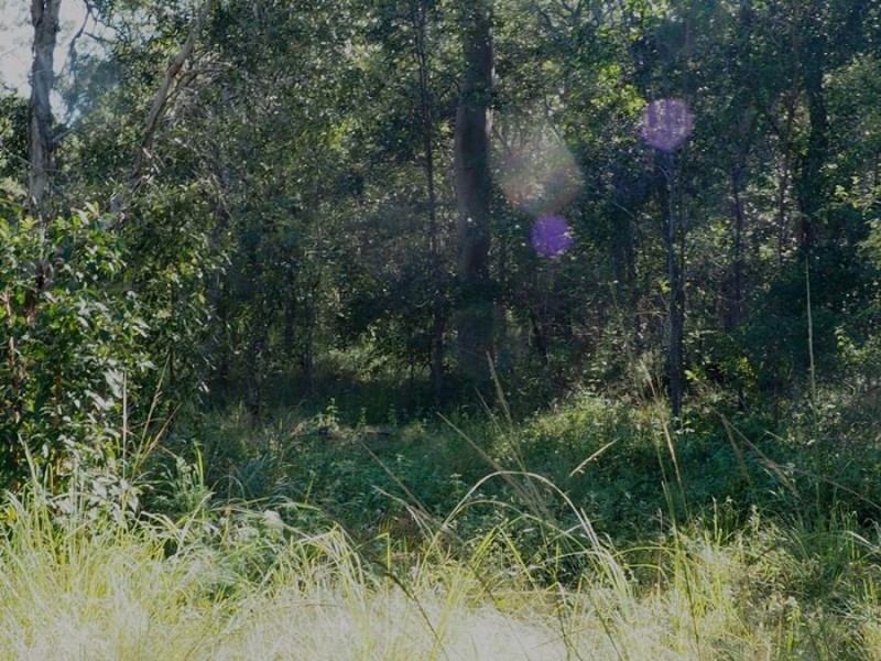 Lot 85 Mahogany Road, Talegalla Weir QLD 4650