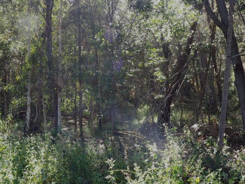 Lot 85 Mahogany Road, Talegalla Weir QLD 4650