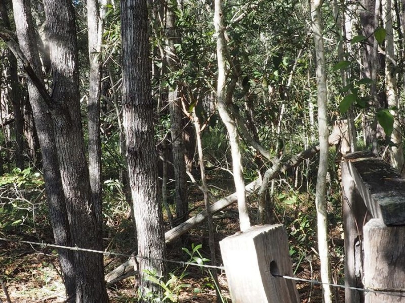 Lot 85 Mahogany Road, Talegalla Weir QLD 4650