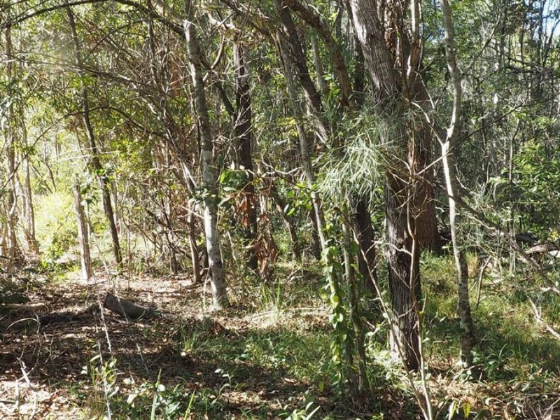 Lot 85 Mahogany Road, Talegalla Weir QLD 4650