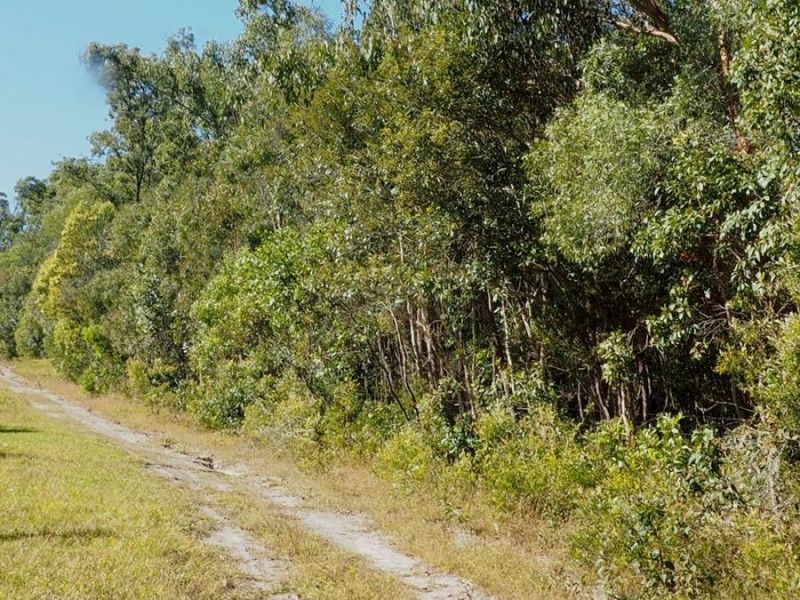 Lot 85 Mahogany Road, Talegalla Weir QLD 4650