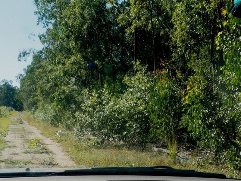 Lot 85 Mahogany Road, Talegalla Weir QLD 4650