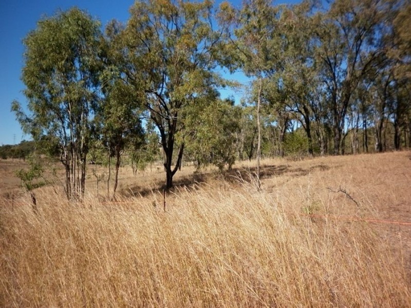 Lot 405 Wide Bay Highway, Kilkivan QLD 4600