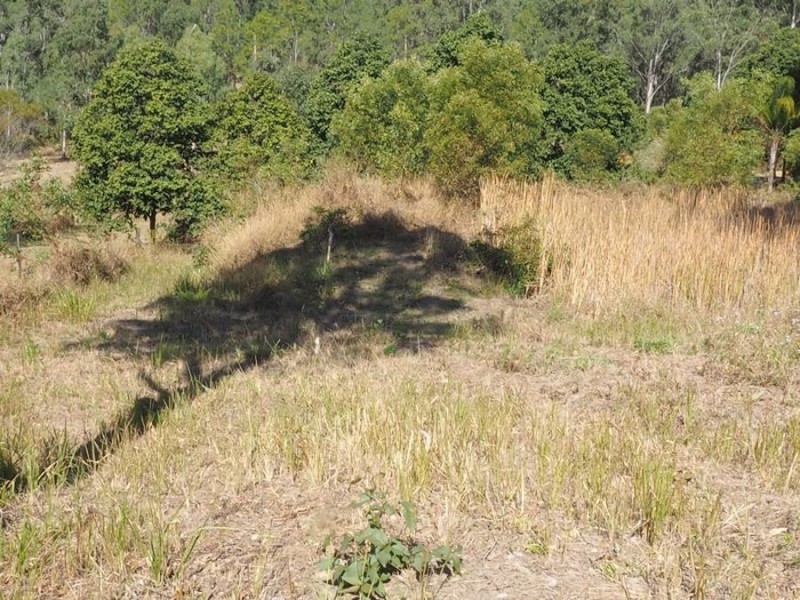 Lot 80 Neerdie Road, Glenwood QLD 4570