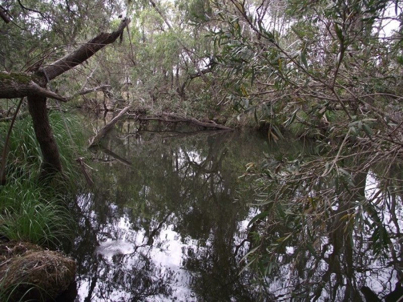 79 Barrett Road, Widgee QLD 4570