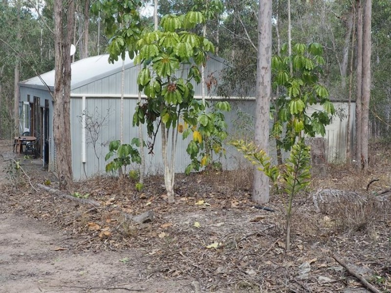 98 Rodney Street, Curra QLD 4570