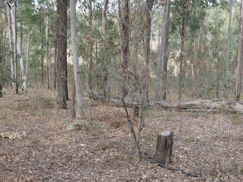 98 Rodney Street, Curra QLD 4570