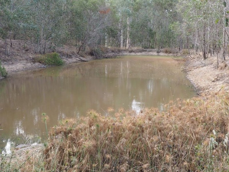 98 Rodney Street, Curra QLD 4570