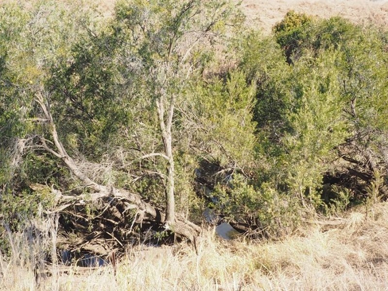 466 Running Creek Road, Kilkivan QLD 4600