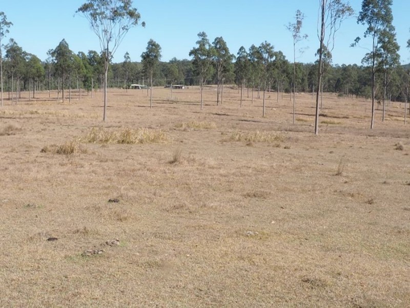 L164 Baupleview Road, St Mary QLD 4650