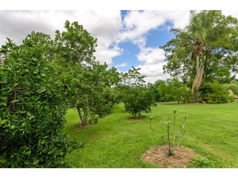 561 McIntosh Creek Road, Mcintosh Creek QLD 4570