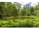 561 McIntosh Creek Road, Mcintosh Creek QLD 4570
