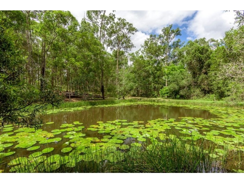 561 McIntosh Creek Road, Mcintosh Creek QLD 4570