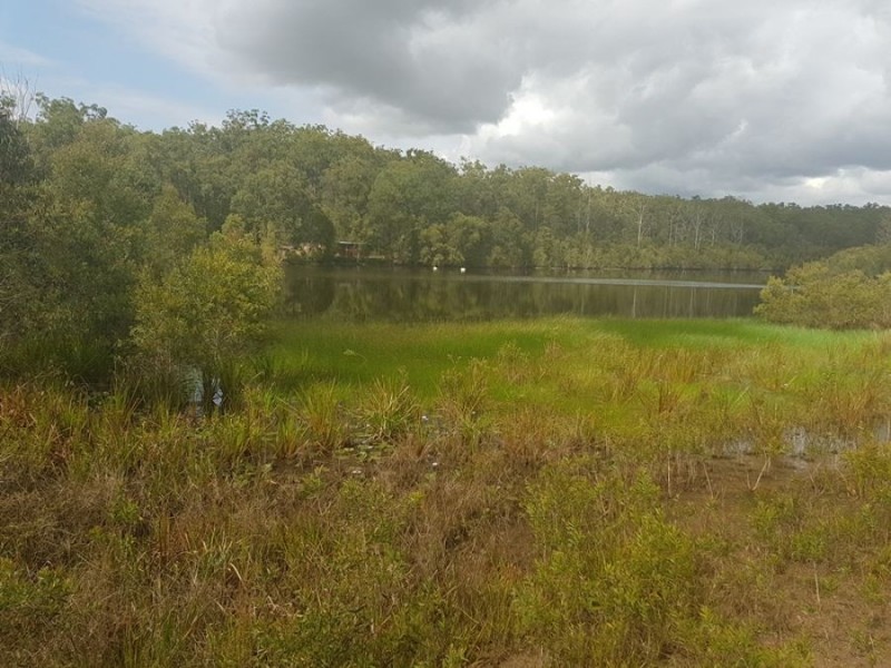 Lot 3 Anderleigh Road, Neerdie QLD 4570