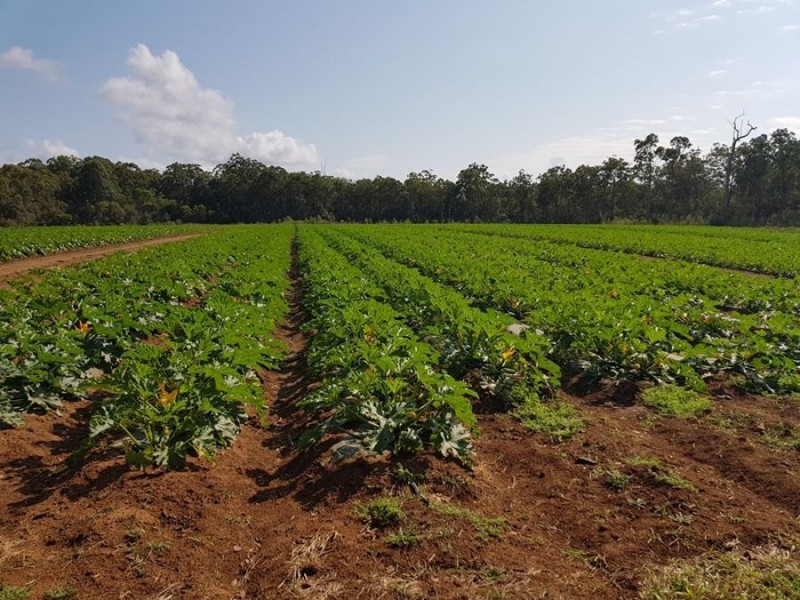 Lot 3 Anderleigh Road, Neerdie QLD 4570