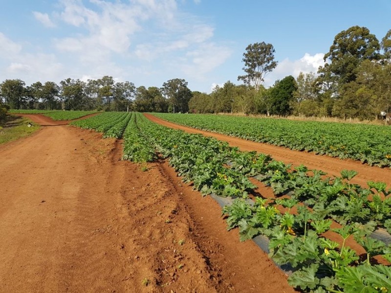 Lot 3 Anderleigh Road, Neerdie QLD 4570