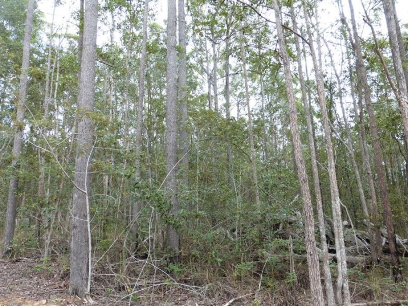 Lot 3 Anderleigh Road, Neerdie QLD 4570