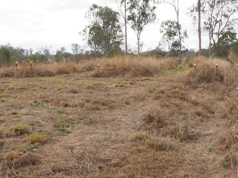 210 Caulleys Road, Paterson QLD 4570