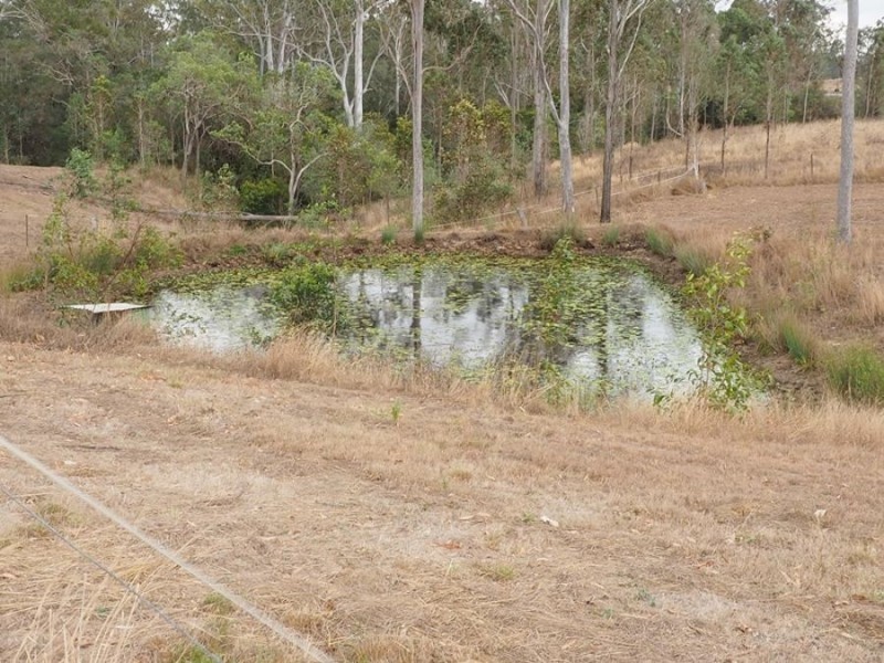 210 Caulleys Road, Paterson QLD 4570