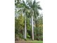Kin Kin QLD 4571