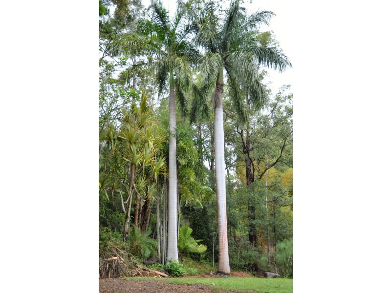 Kin Kin QLD 4571