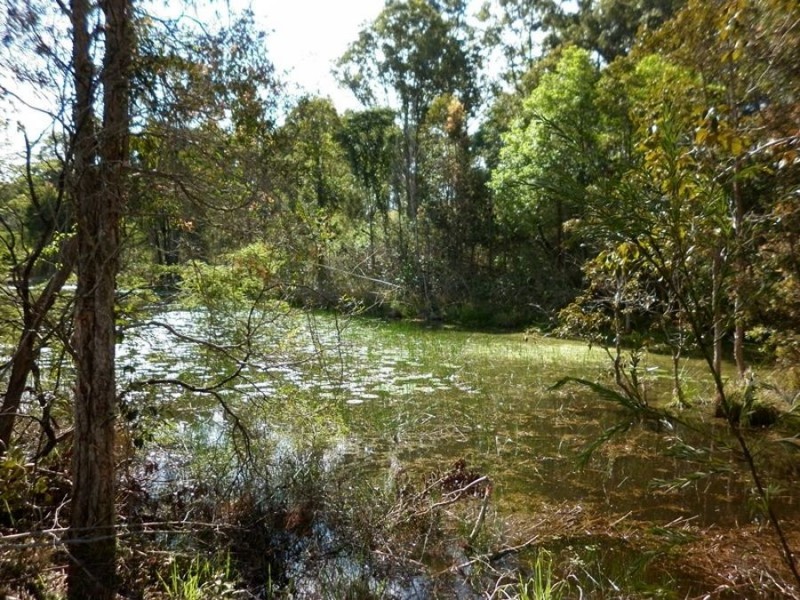 319 North Deep Creek Road, North Deep Creek QLD 4570