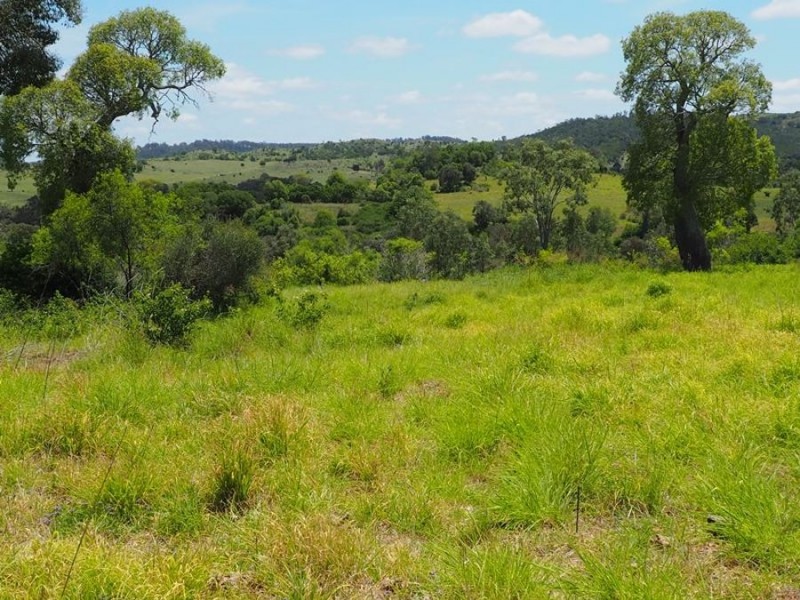 102 Hinchcliffes Road, Sunny Nook QLD 4605