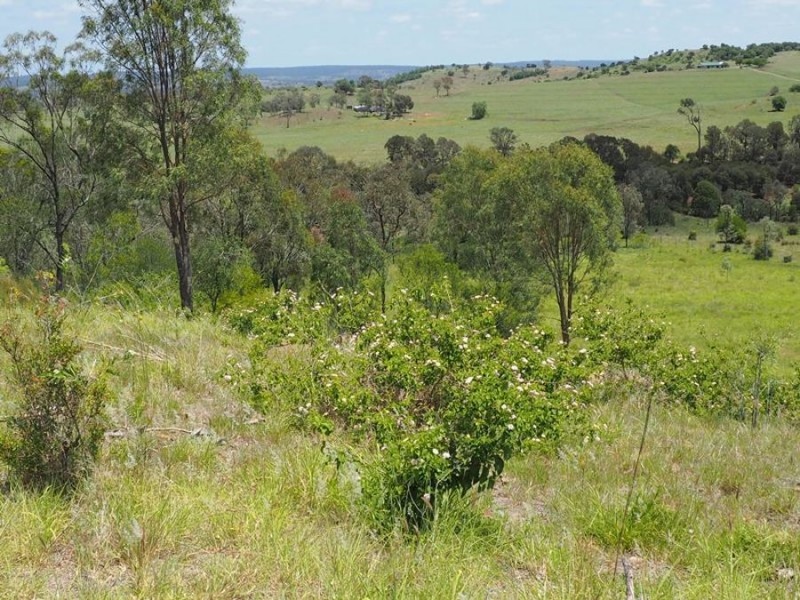 102 Hinchcliffes Road, Sunny Nook QLD 4605