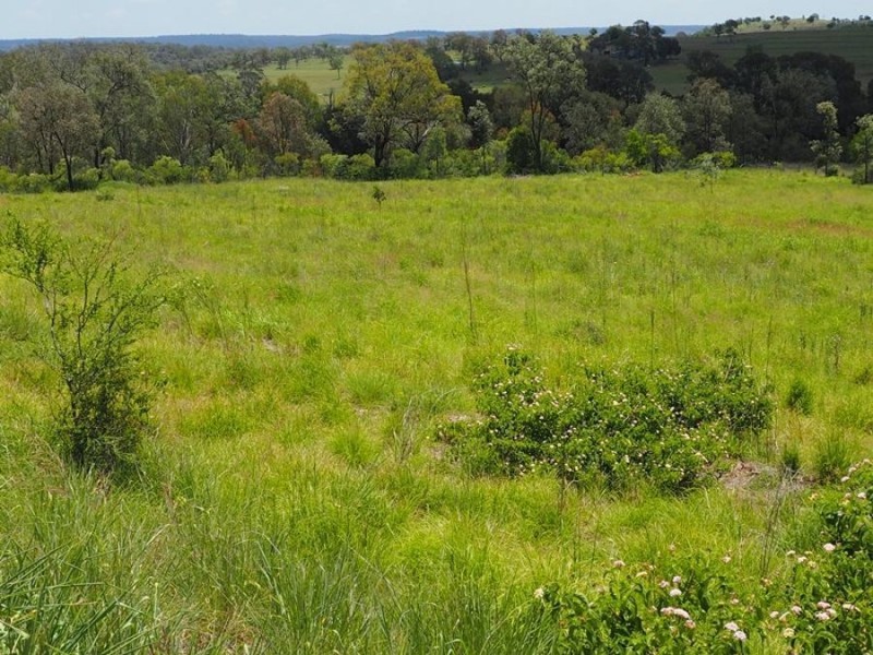 102 Hinchcliffes Road, Sunny Nook QLD 4605