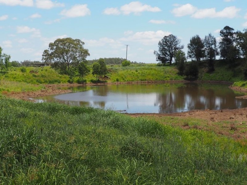 102 Hinchcliffes Road, Sunny Nook QLD 4605